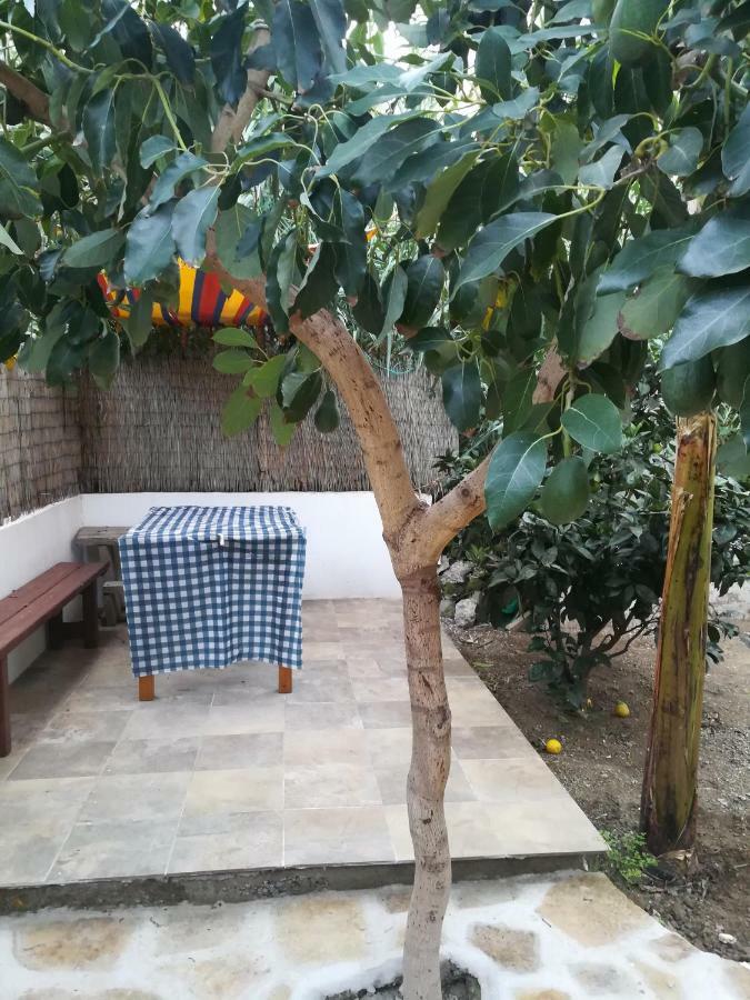 Casa La Terraza Vallehermoso Exterior foto